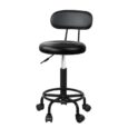 Beauty Salon Stool