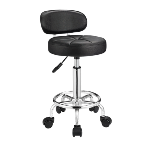 Deluxe Salon Stool with Back for Beauty Clinics