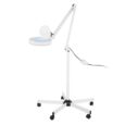 Magnifier LED Lamp