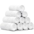 Facial Towels 500GSM 10 Pack 30X30cm White