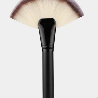 Facial Brush – XL Fan Brush - Pack of 5