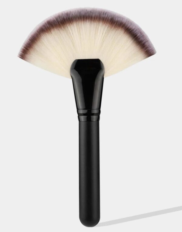Facial Brush – XL Fan Brush - Pack of 5
