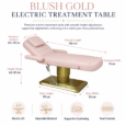 Blush Gold Treatment Table dimensions and electric lift features
