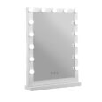 LED mirror 43cm x 61cm