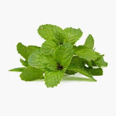 Peppermint Body Balm