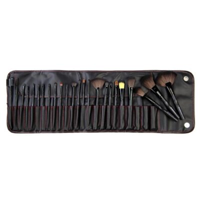 Set CS24 – 24pc Brush Set