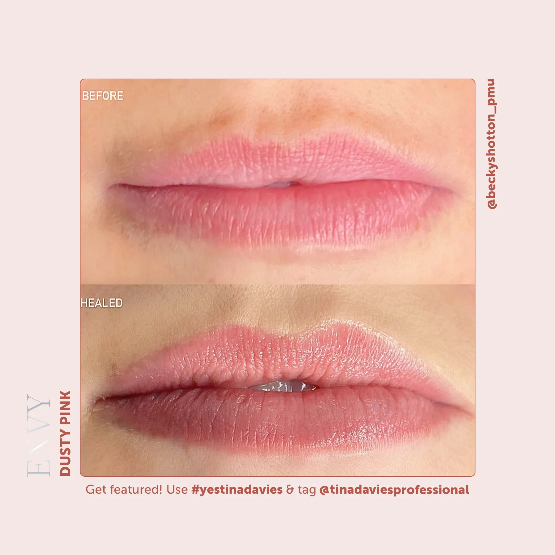 Envy Lip Pigments - Dusty Pink - Image 7