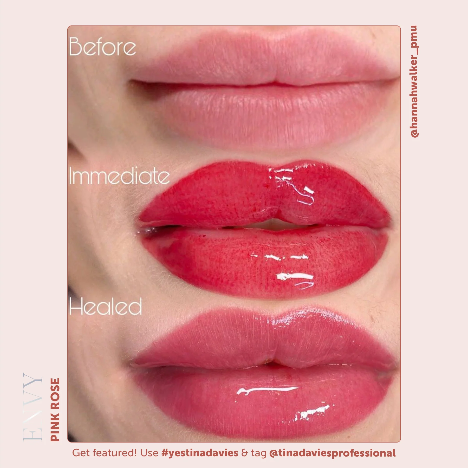 Envy Lip Pigments - Envy Pink Rose - Image 6