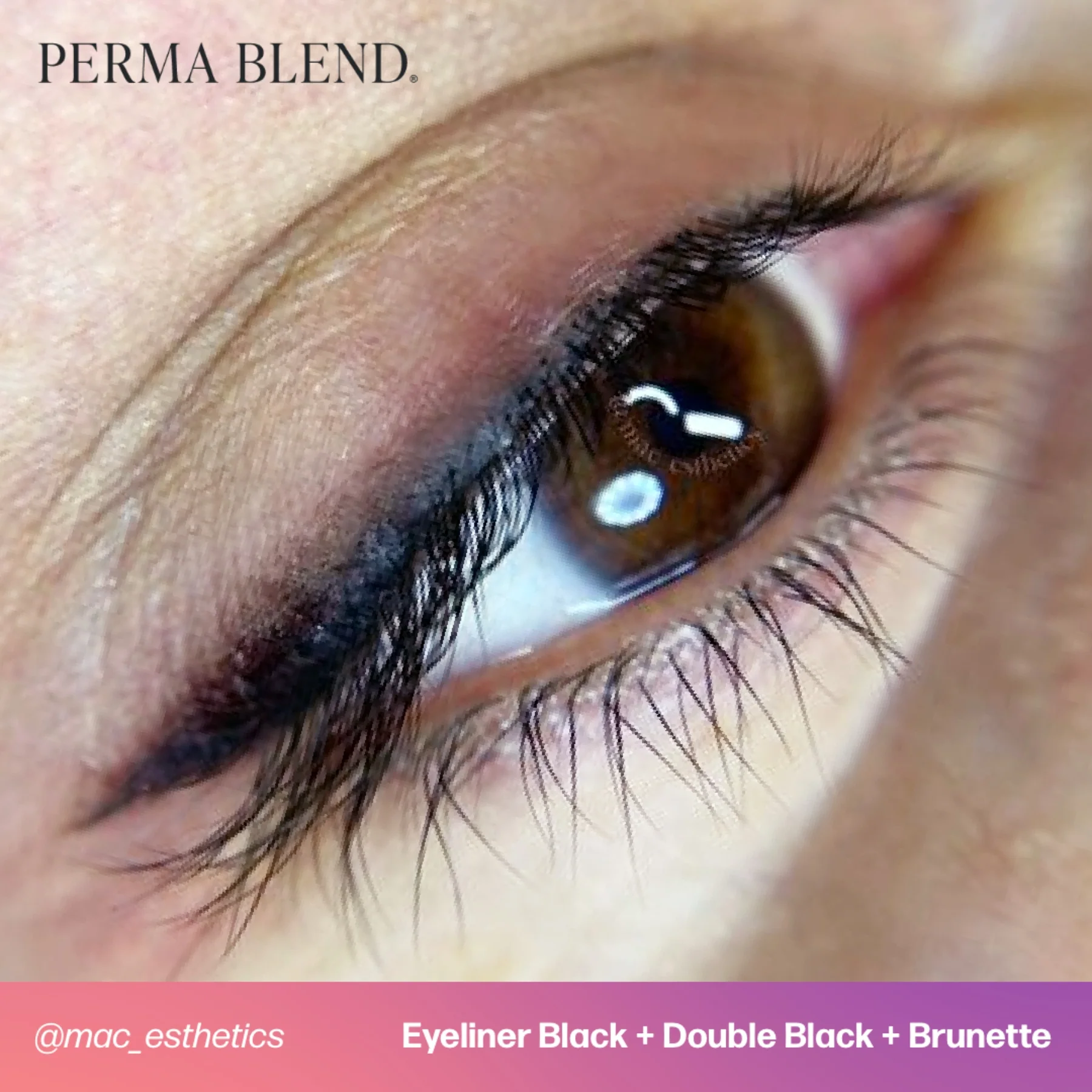 Perma Blend Eyeliner Pigments - Eyeliner Black - Image 2