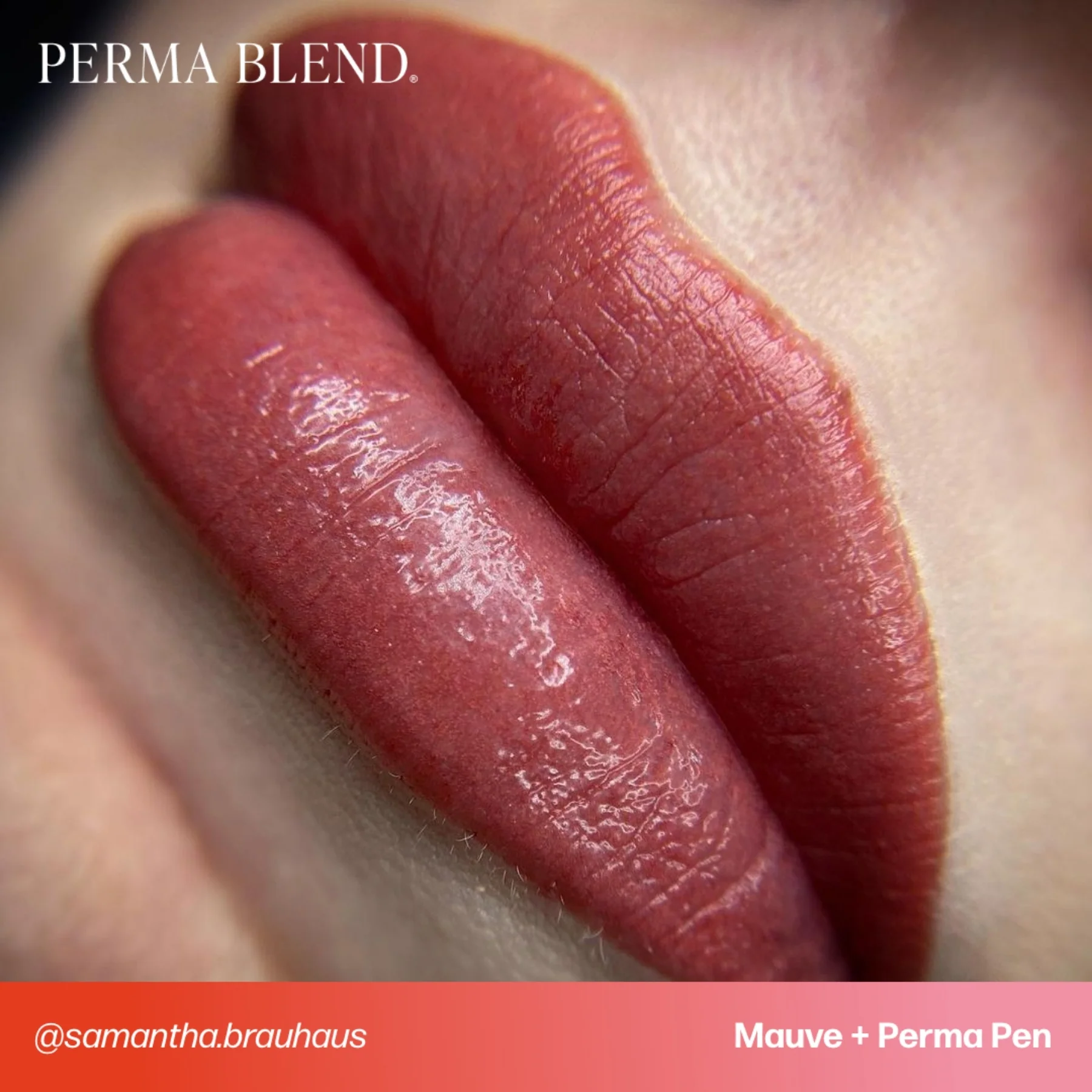 Perma Blend Lip Pigments - Mauve - Image 2