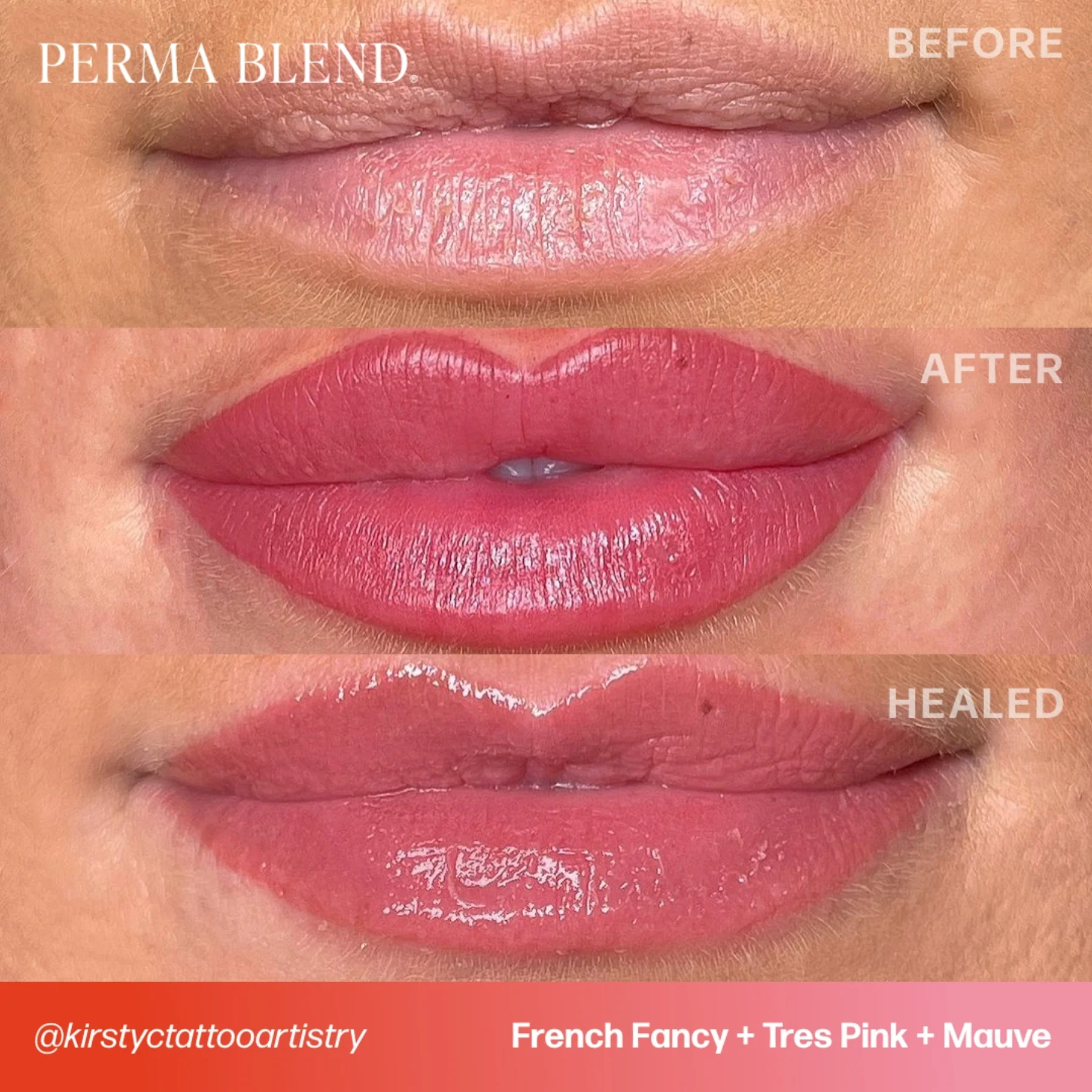 Perma Blend Lip Pigments - Mauve - Image 3