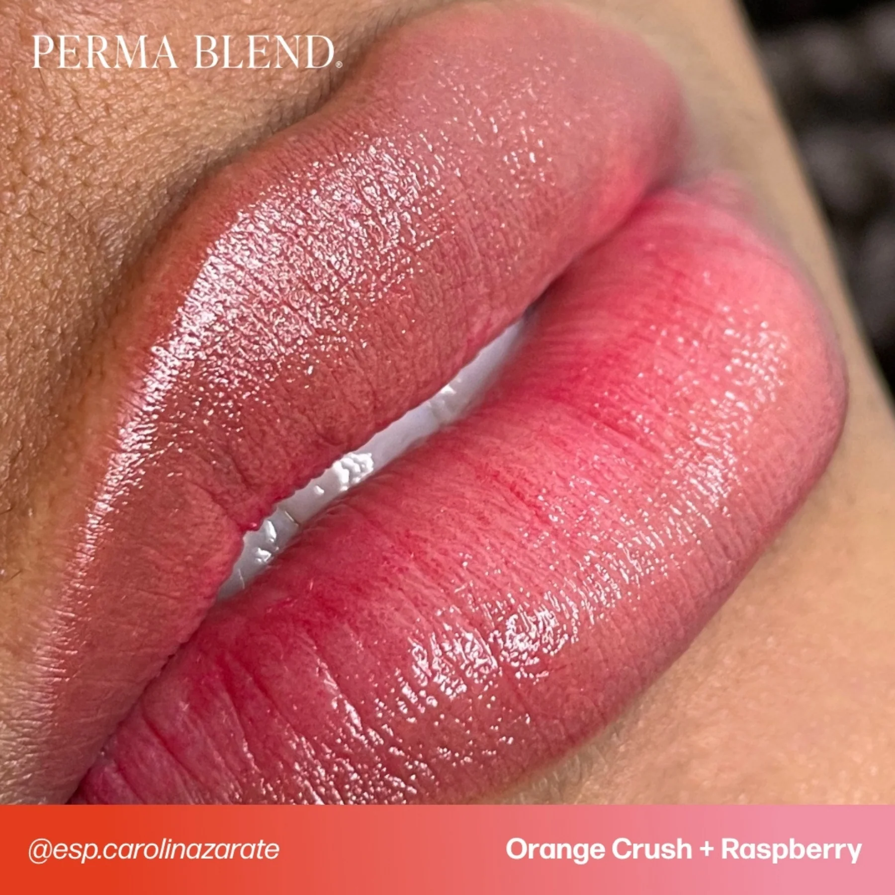 Perma Blend Lip Pigments - Raspberry - Image 3