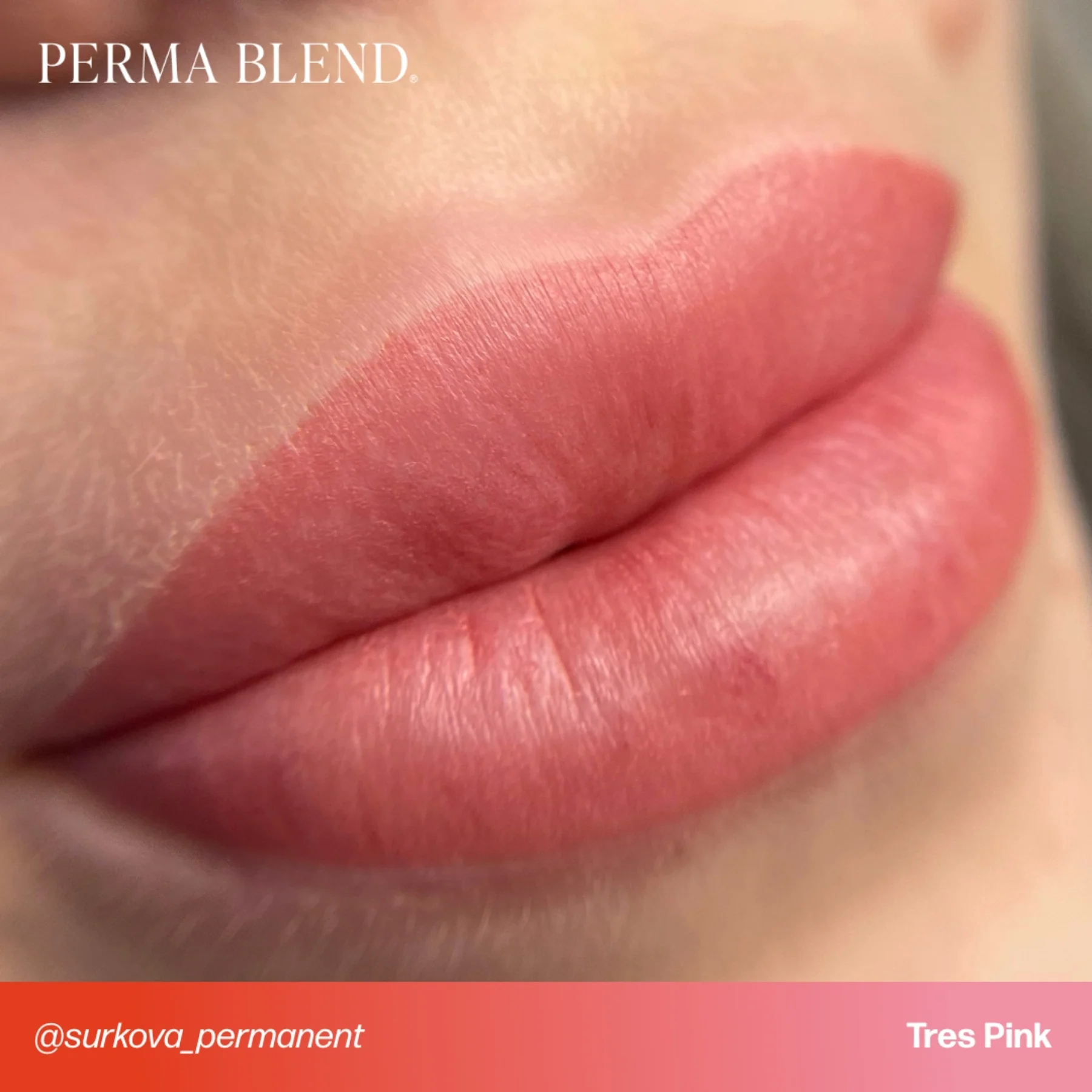 Perma Blend Lip Pigments - Tres Pink - Image 2