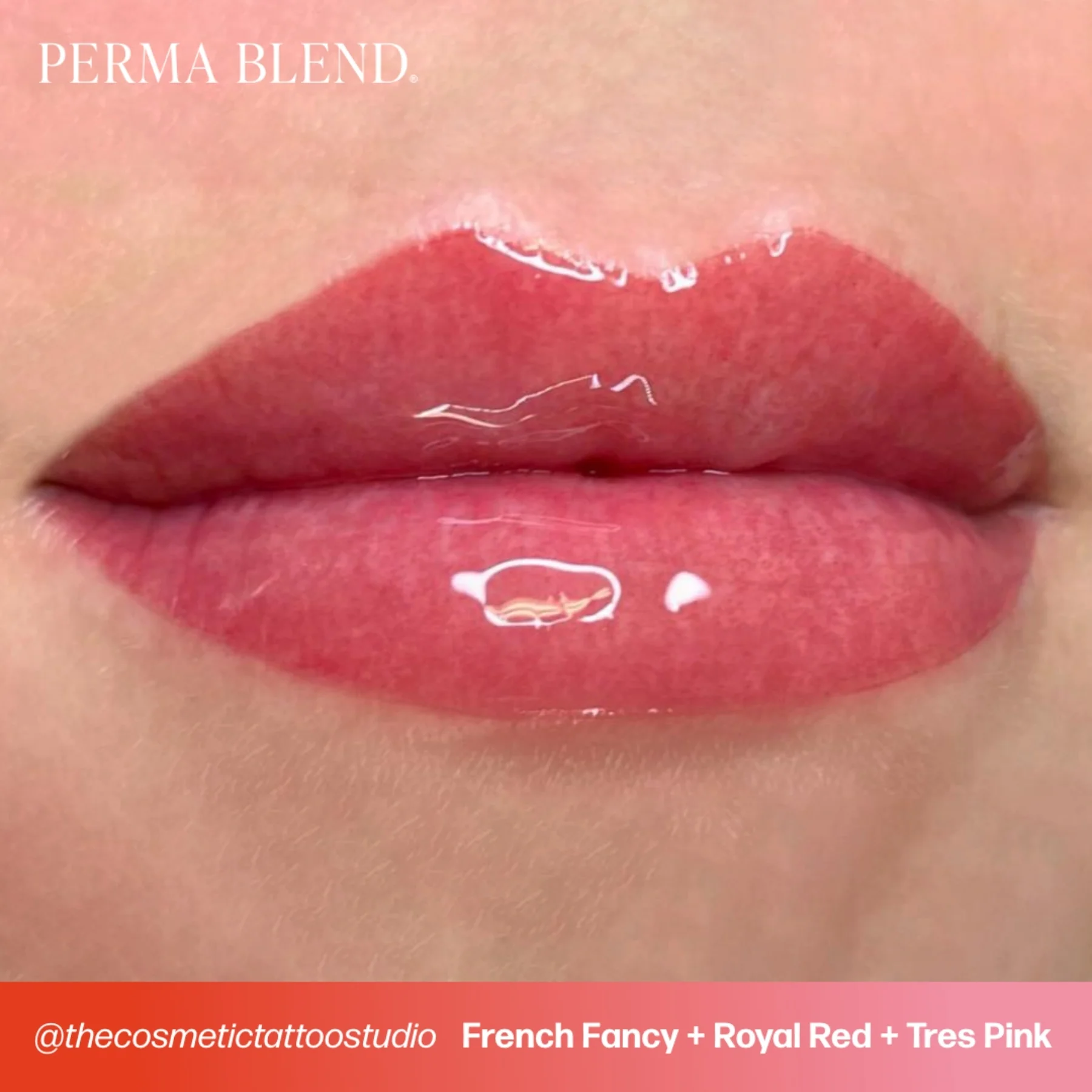 Perma Blend Lip Pigments - Tres Pink - Image 6