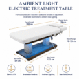 Ambient Electric Treatment Table dimensions and features