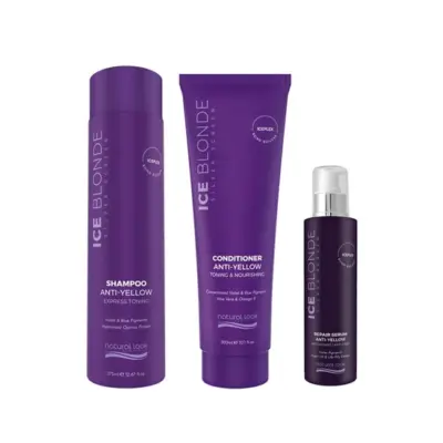 Ice Blonde Repair Bundle
