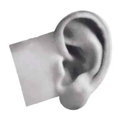 Practice Ear