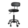 Beauty Salon Stool