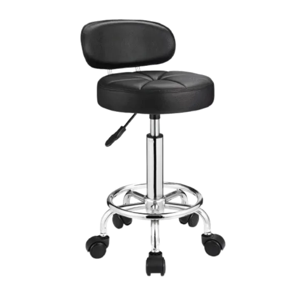 Deluxe Salon Stool with Back for Beauty Clinics