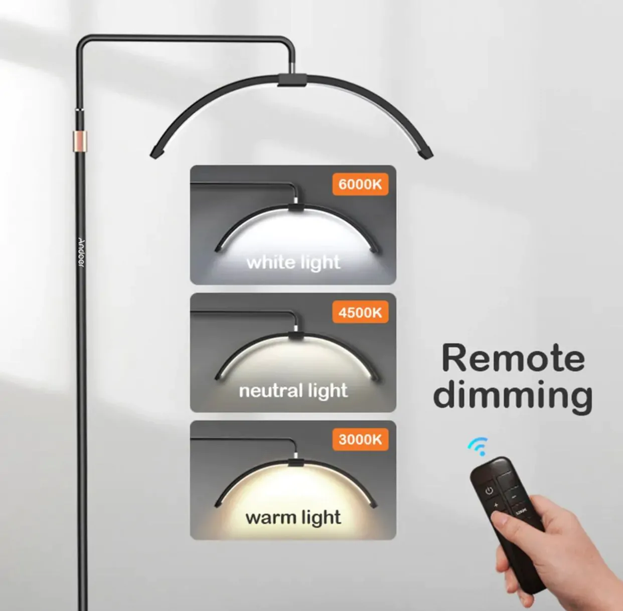 Half Moon Salon Lamp - Image 8