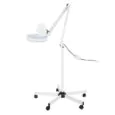 Magnifier LED Lamp