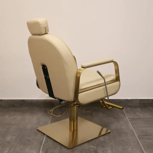 Fleur Reclining Salon Chair Taupe - Image 5