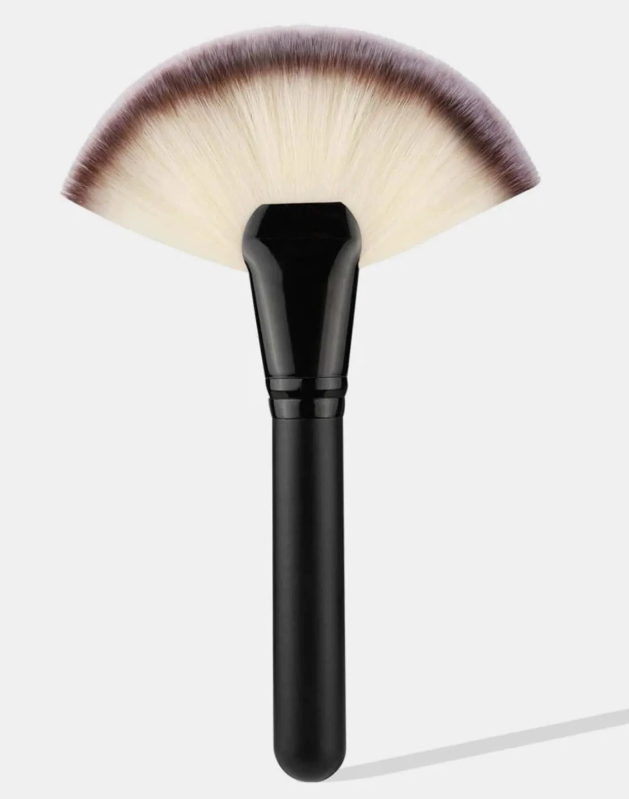 Facial Brush – XL Fan Brush - Pack of 5