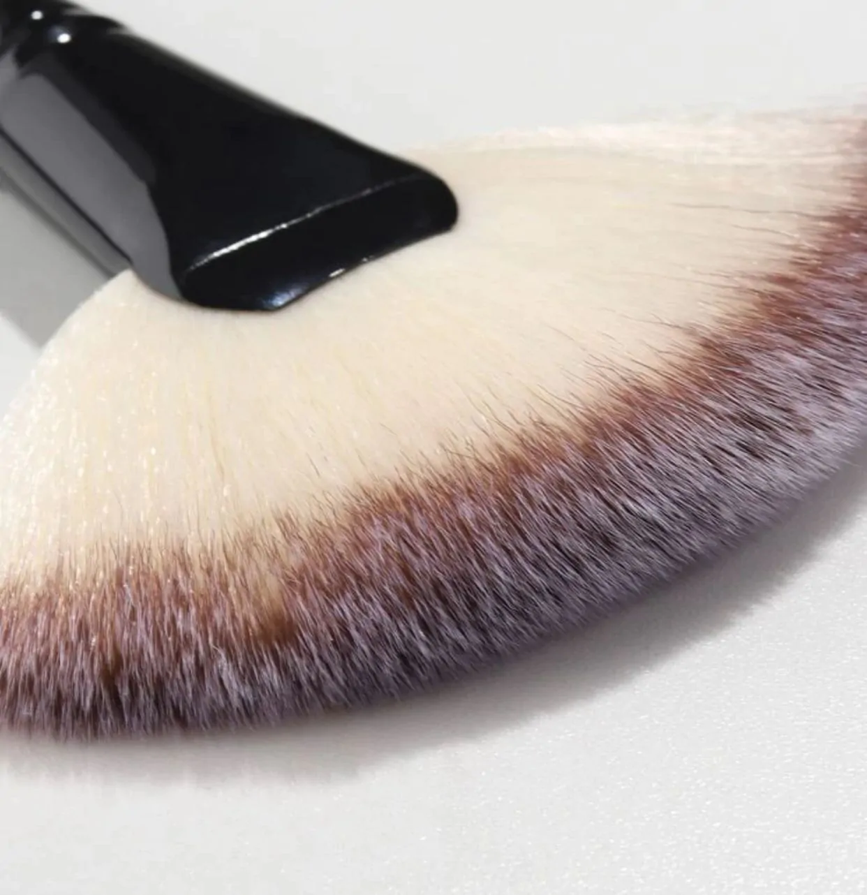 Facial Brush – XL Fan Brush - Pack of 5 - Image 2