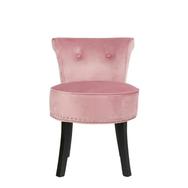 Paris Velvet Chair in soft pink for luxury salon reception area