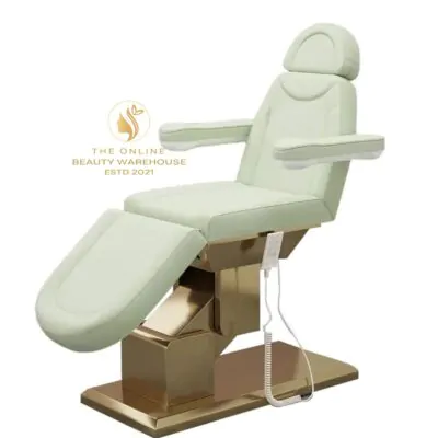 Luxury Spa Electric Treatment Table