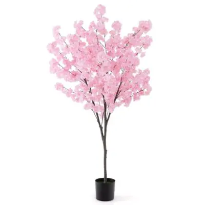 1.9m Sakura Cherry Blossom Tree