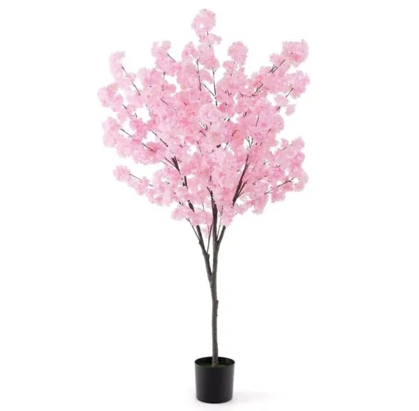 1.9m Sakura Cherry Blossom Tree
