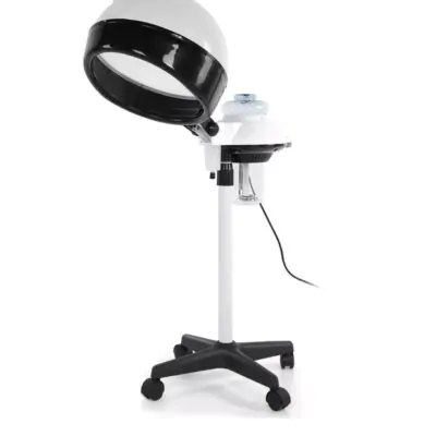 Hair Steamer