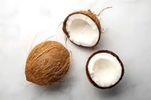 Coconut Body Balm