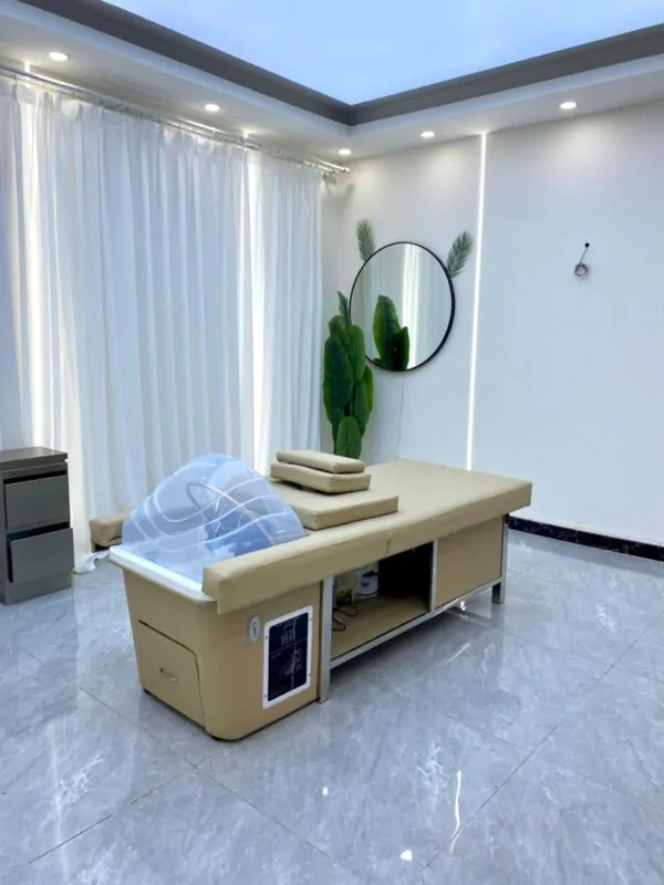 Levana Plus Head Spa and Pedicure Basin - Plumbed - With Steamer  - Image 2