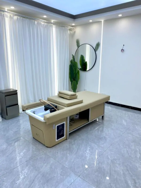 Levana Plus Head Spa and Pedicure Basin - Plumbed - With Steamer  - Image 4
