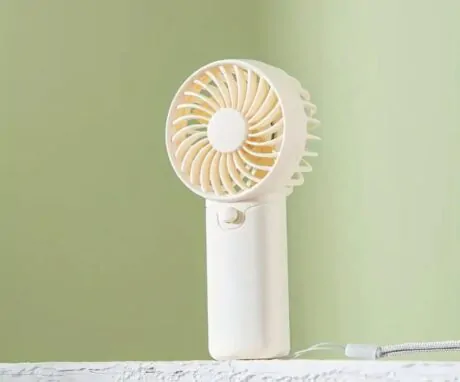 Eyelash Extension Fan