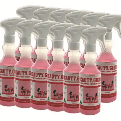 BEAUTY.GIENE Multipurpose Cleaner & Disinfectant
