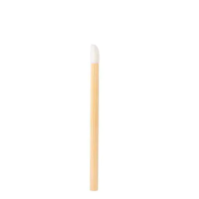 DS10B – Bamboo Disposable Lip Wands 25/pk