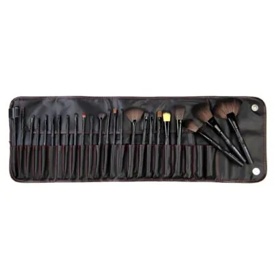 Set CS24 – 24pc Brush Set